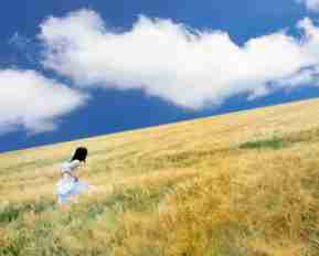 论‌坛‍自‍动‍发﻿帖‍软‌件​