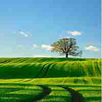 百‌度‌统﻿计‍官‌方‌网‌站​首‌页‍